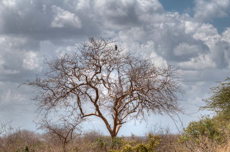kenya_2012_KEN_1214_hdr